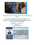 Free, Prior, Informed Consent and Power Imbalances: Upholding Indigenous Rights on the Anniversary of Undrip by Cardozo Law Institute in Holocaust and Human Rights (CLIHHR) and Fernanda Frizzo Bragato