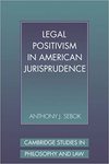Legal Positivism in American Jurisprudence by Anthony J. Sebok